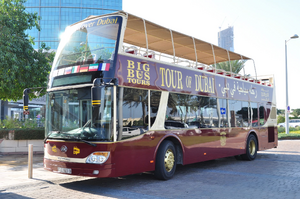 Lutte contre les nuisibles Tours