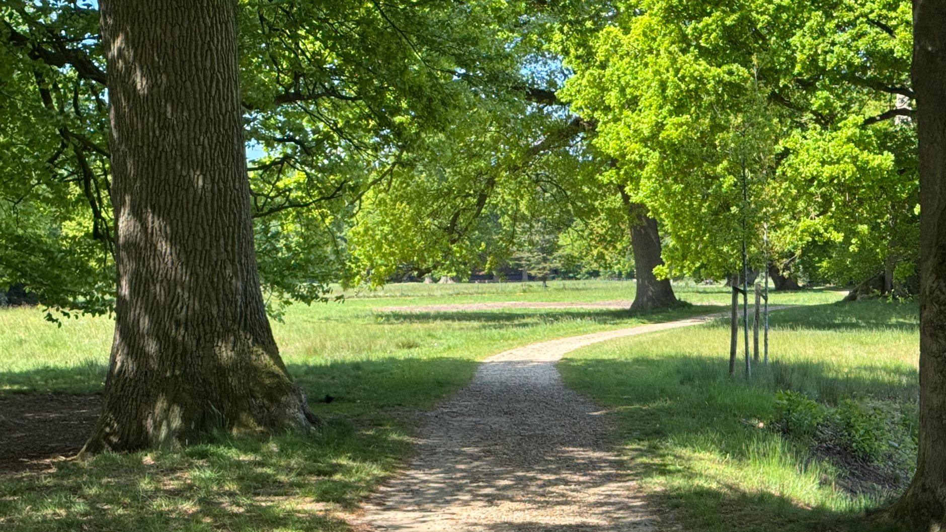 Lutte contre les nuisibles à Tours